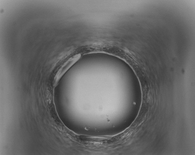 X0000064771253200602131308