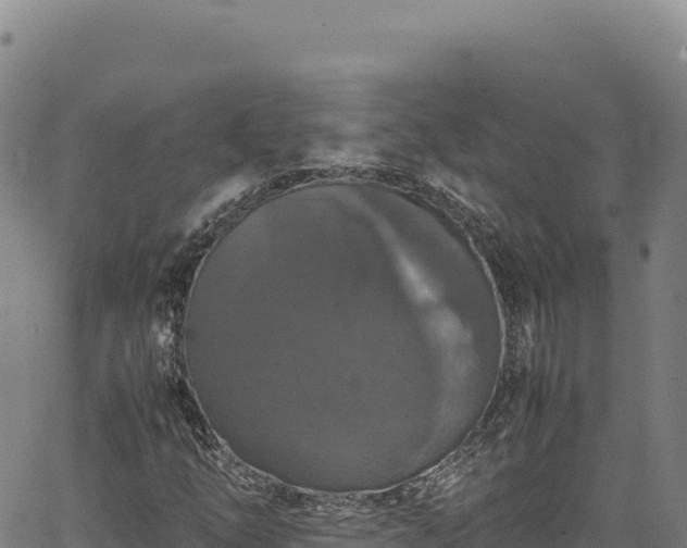 X0000064771254200602131308