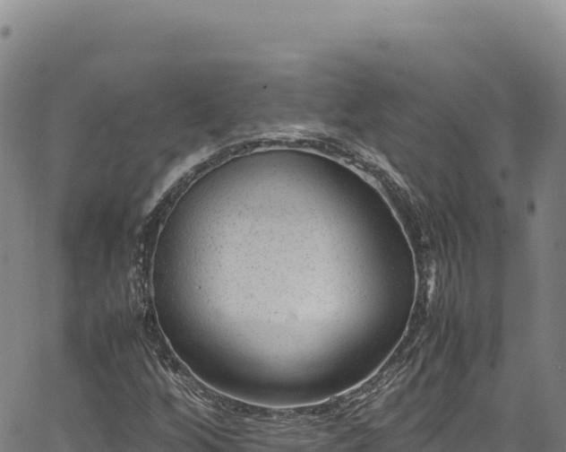 X0000064771256200602131308