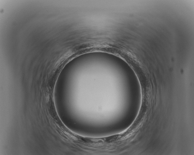 X0000064771257200602131308