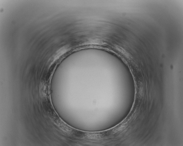 X0000064771258200602131308