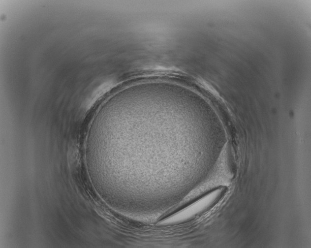 X0000064771259200602131308