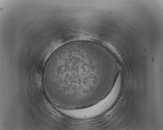 X0000064771260200602131308