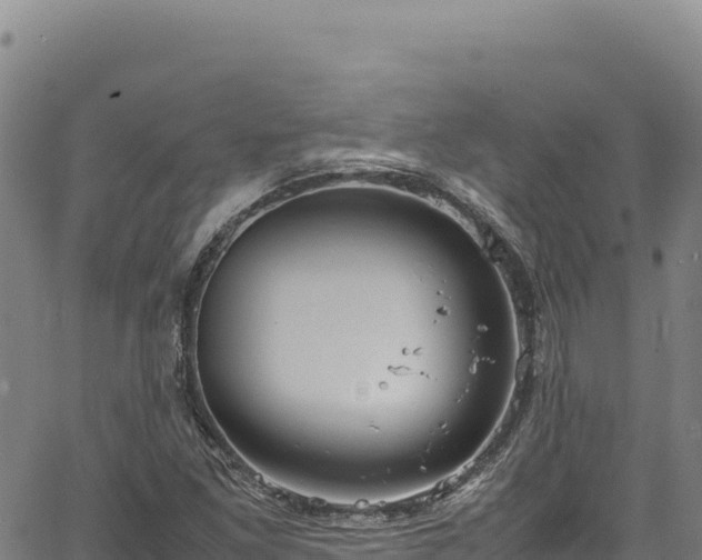 X0000064771261200602131308