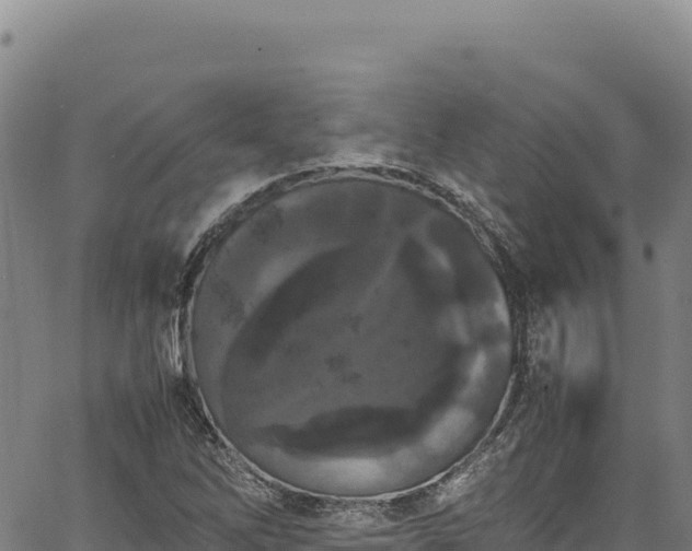 X0000064771262200602131307