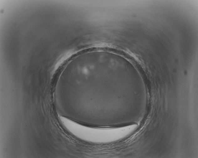 X0000064771263200602131307