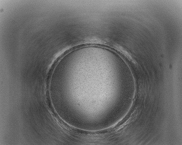 X0000064771264200602131307