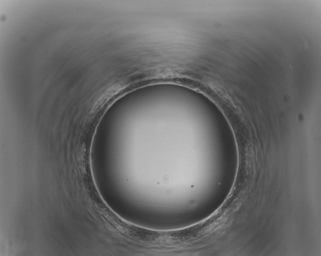 X0000064771265200602131307