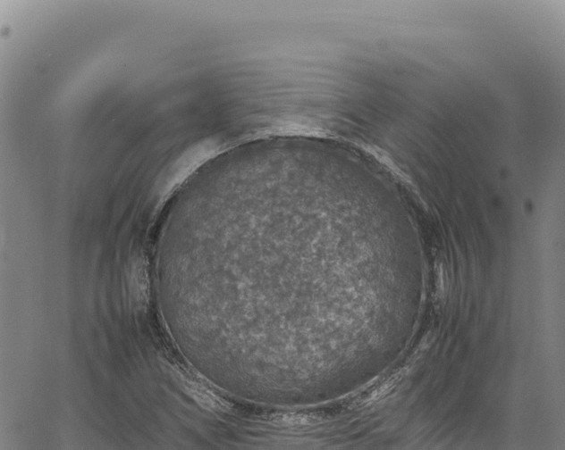 X0000064771266200602131307