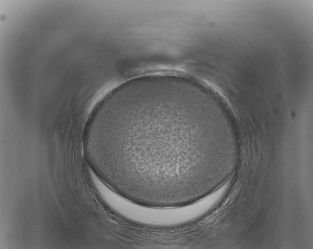 X0000064771267200602131307