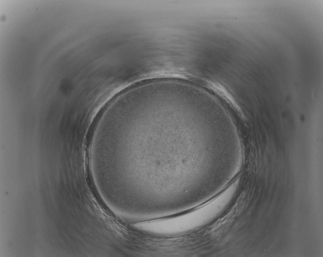 X0000064771268200602131307