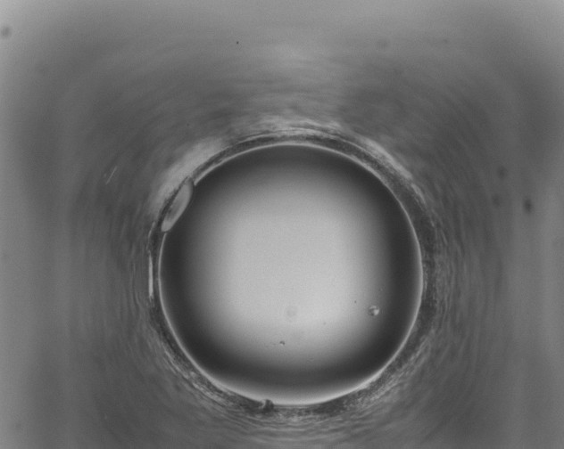 X0000064771269200602131307