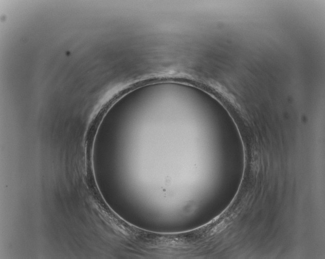 X0000064771270200602131307