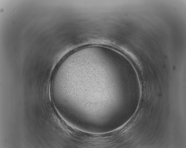 X0000064771272200602131307