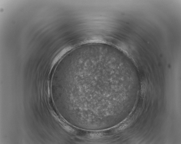 X0000064771274200602131307