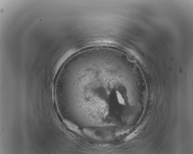 X0000064771275200602131307