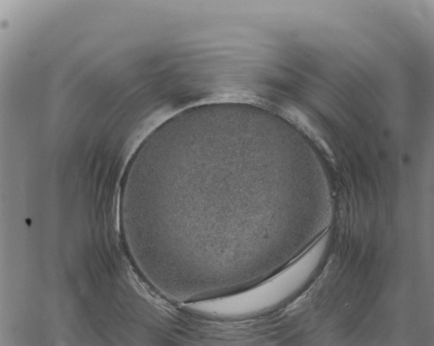 X0000064771276200602131307