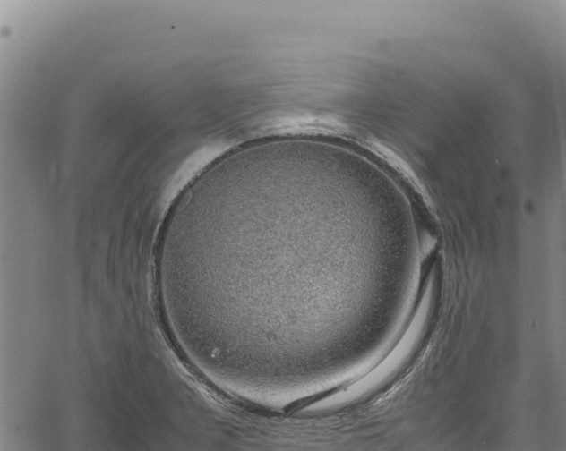 X0000064771277200602131307