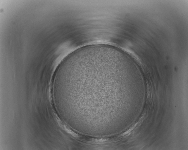 X0000064771278200602131307