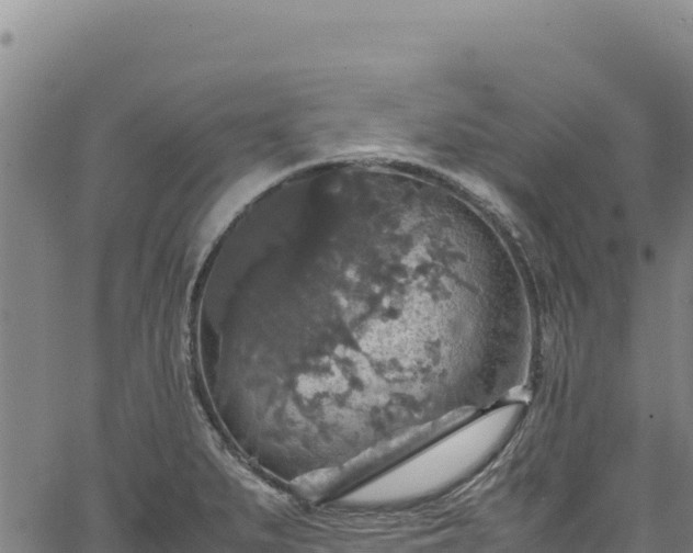 X0000064771279200602131307