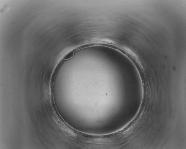 X0000064771280200602131307