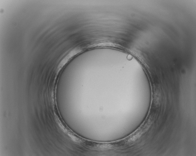 X0000064771282200602131307