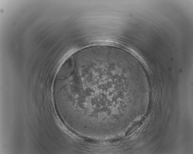 X0000064771283200602131307