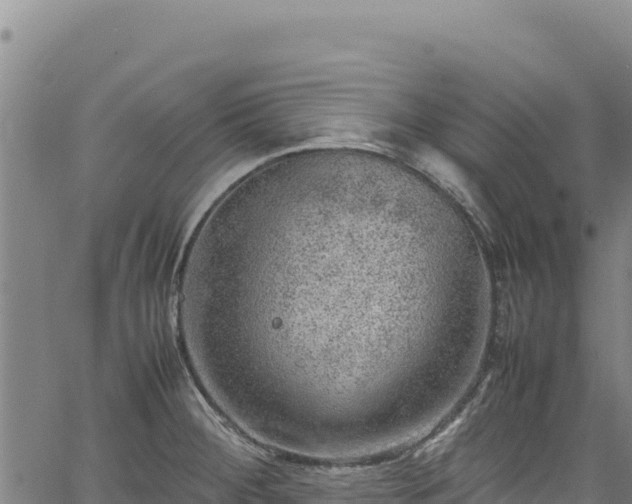 X0000064771284200602131307