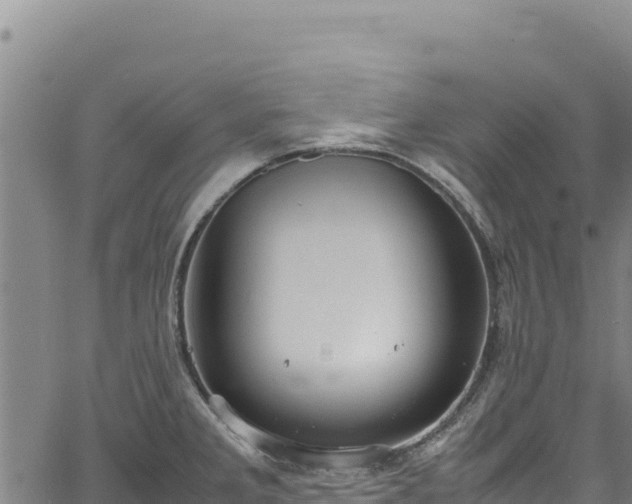 X0000064771285200602131307