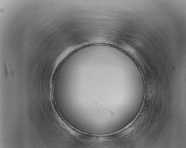 X0000064771286200602131307