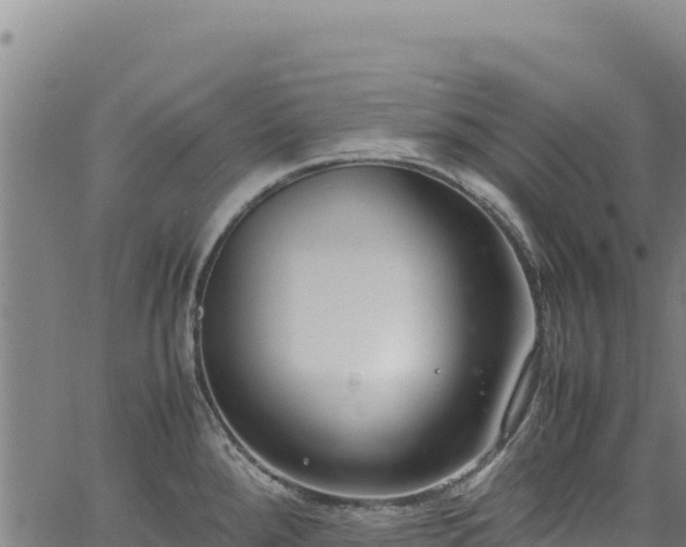 X0000064771288200602131307