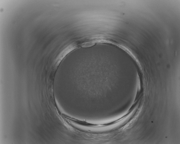 X0000064771289200602131307