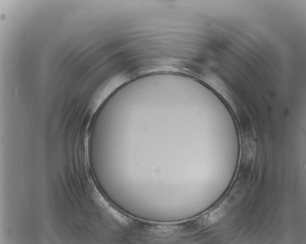 X0000064771290200602131307