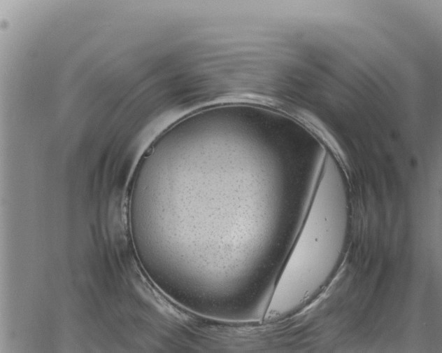 X0000064771292200602131307