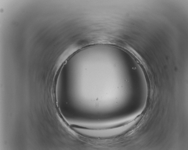 X0000064771293200602131307