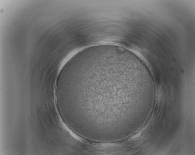 X0000064771294200602131307