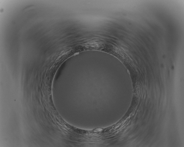 X0000064771297200602131306