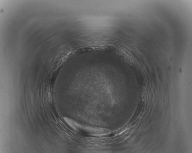 X0000064771298200602131306