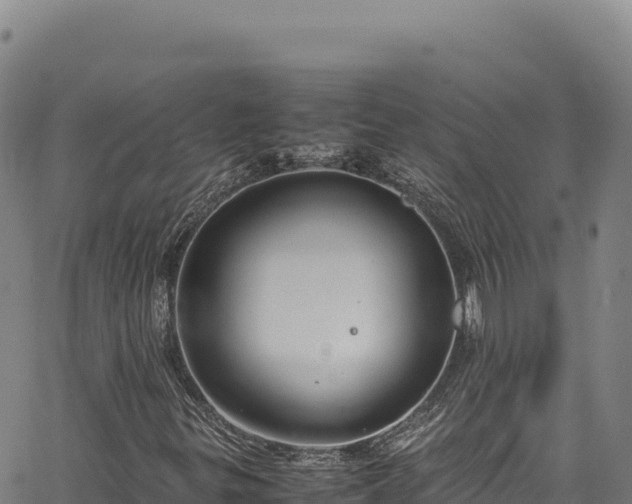 X0000064771299200602131306