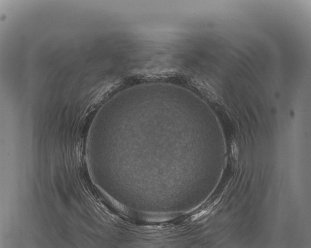 X0000064771300200602131306