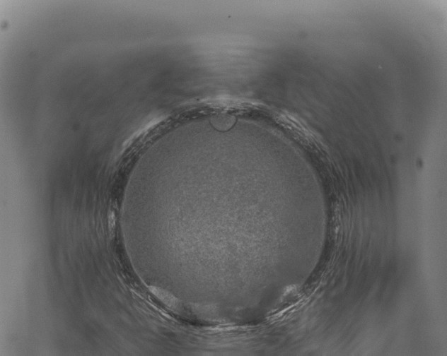 X0000064771302200602131306