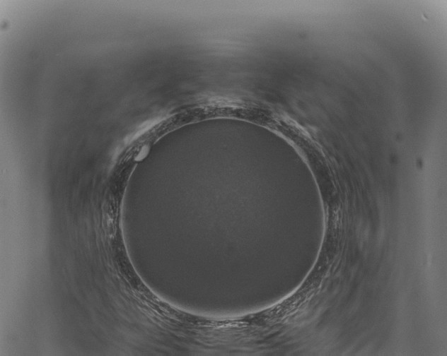 X0000064771303200602131306