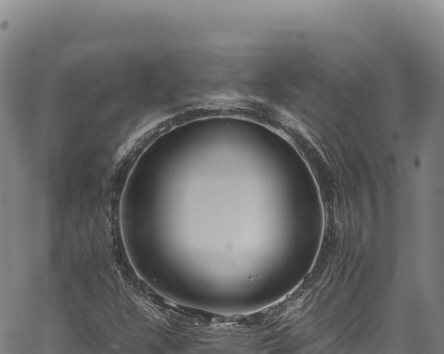 X0000064771304200602131306