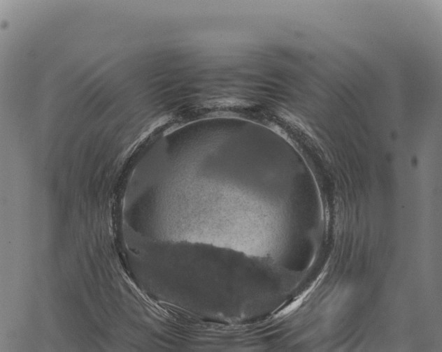 X0000064771305200602131306