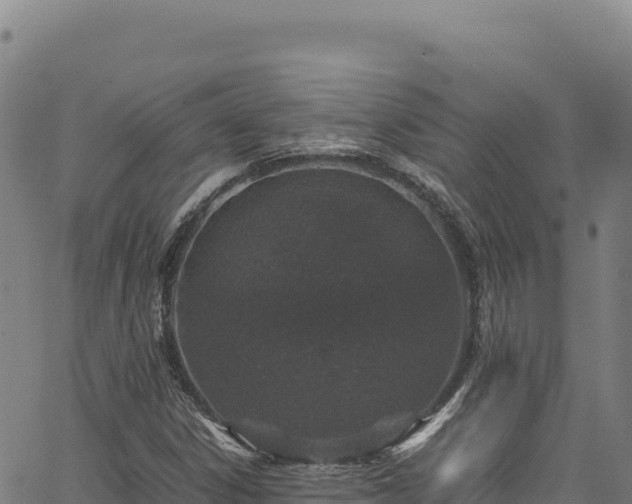 X0000064771306200602131306