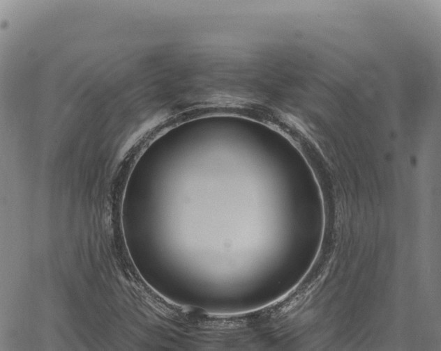 X0000064771307200602131306