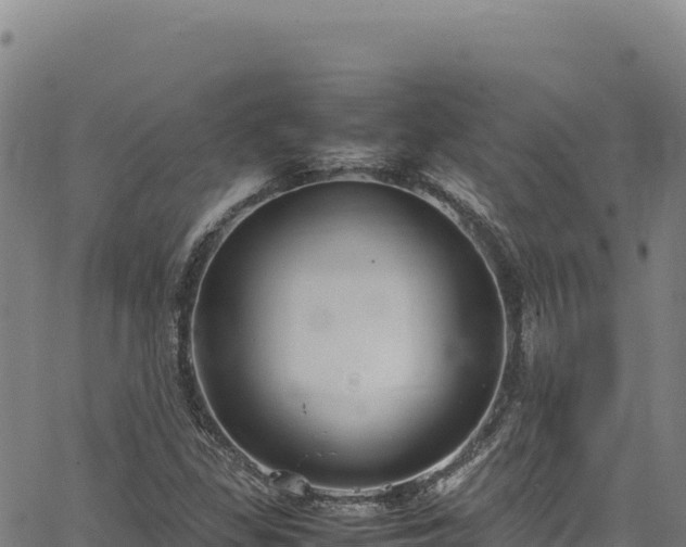 X0000064771309200602131306