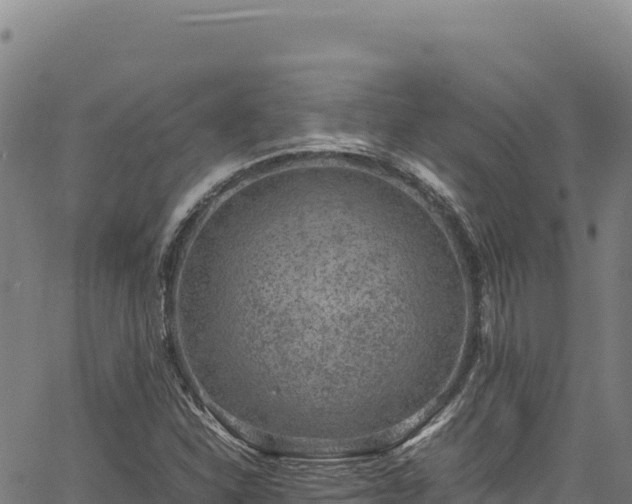 X0000064771310200602131306