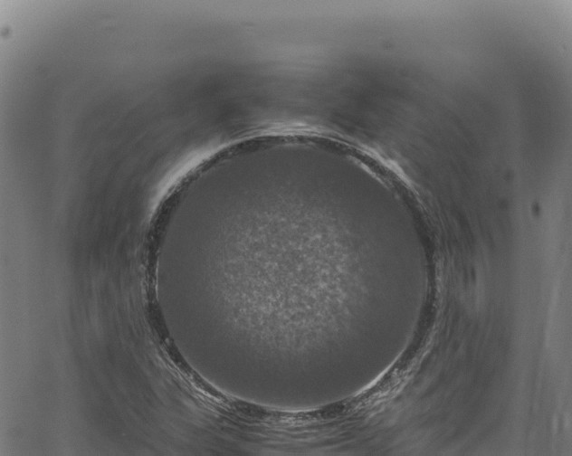 X0000064771311200602131306