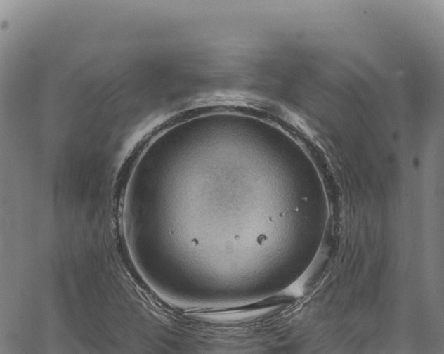 X0000064771312200602131306